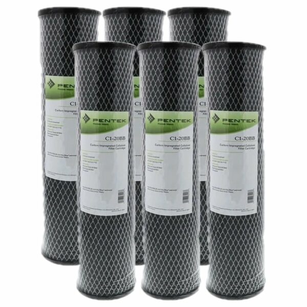 Pentek C1-20BB Activated Carbon Filter 155651-43